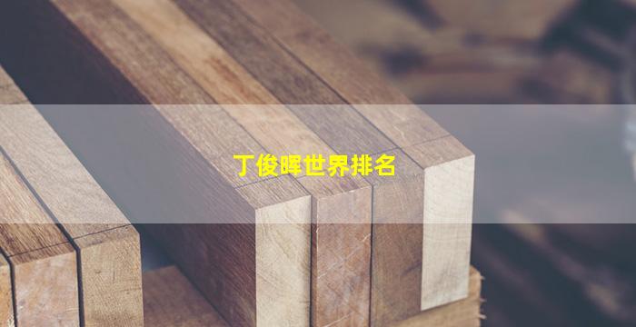 丁俊晖世界排名(丁俊晖世界排名最好成绩)