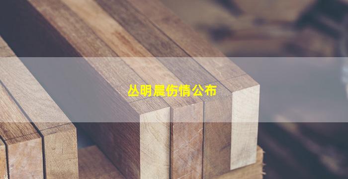 丛明晨伤情公布(丛明晨近况)