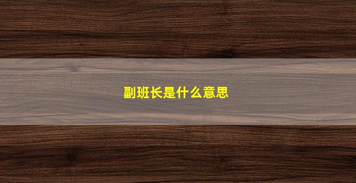 副班长是什么意思(足球副班长是什么意思)