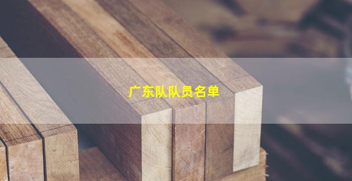 广东队队员名单