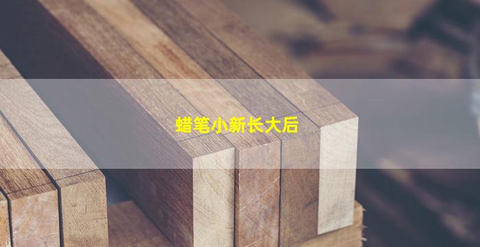 蜡笔小新长大后(蜡笔小新长大后的样子图片)