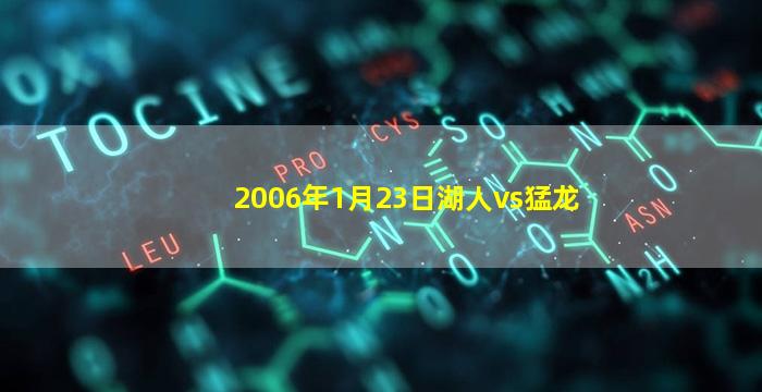 2006年1月23日湖人vs猛龙