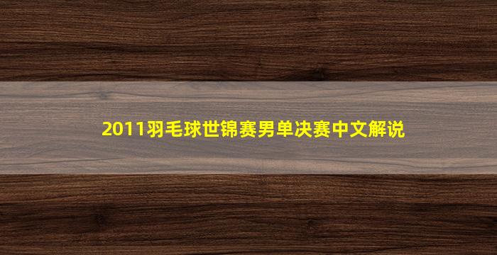 2011羽毛球世锦赛男单决赛中文解说