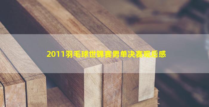 2011羽毛球世锦赛男单决赛观后感