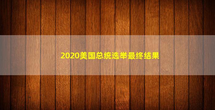 2020美国总统选举最终结果