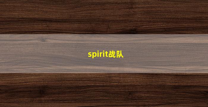 spirit战队(spirit战队csgo)