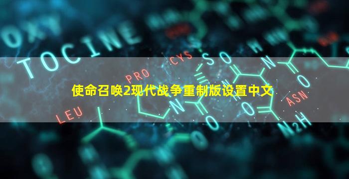 使命召唤2现代战争重制版设置中文