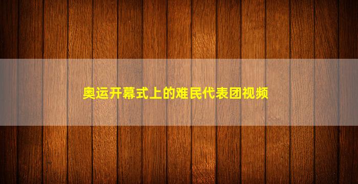 奥运开幕式上的难民代表团视频