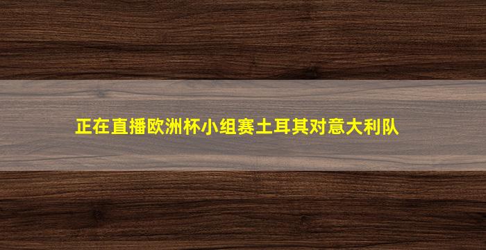 正在直播欧洲杯小组赛土耳其对意大利队