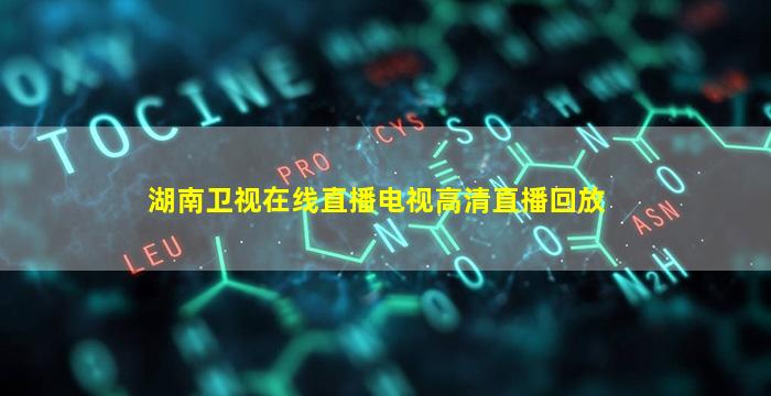 湖南卫视在线直播电视高清直播回放