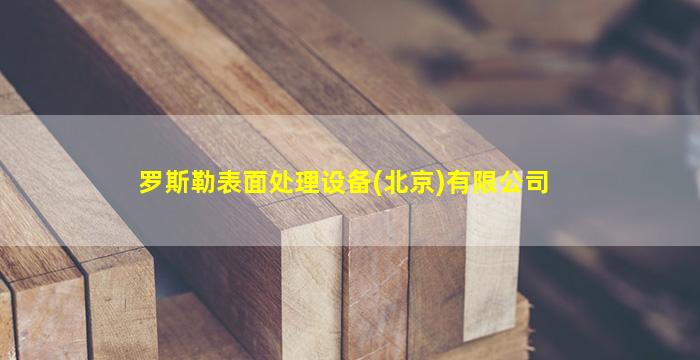 罗斯勒表面处理设备(北京)有限公司