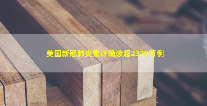 美国新冠肺炎累计确诊超2370万例