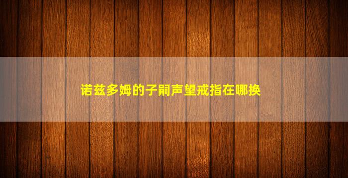 诺兹多姆的子嗣声望戒指在哪换